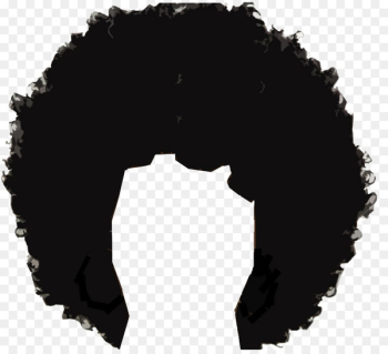 Afro-textured hair Wig Hairstyle Clip art - Afro Hair PNG Transparent Images 