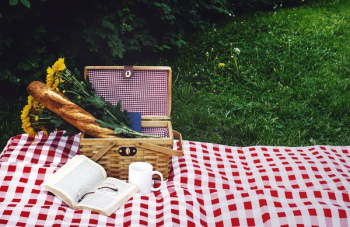 Afternoon Picnic Afternoon Picnic