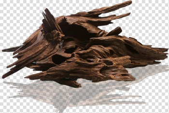 Agarwood Perfumer Ittar Aquilaria, perfume transparent background PNG clipart Agarwood Perfumer Ittar Aquilaria, perfume transparent background PNG clipart