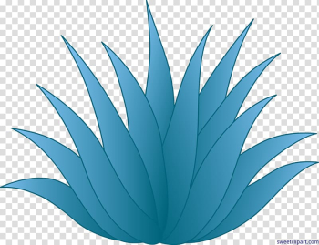 Agave azul Tequila Plant Cactaceae , watercolor cactus transparent background PNG clipart