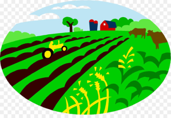 Agriculture, Agricultural Land, Farm, Green, Grass PNG Agriculture, Agricultural Land, Farm, Green, Grass PNG