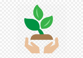 Agriculture Icon Royalty Free Vector Image - Plant A Tree Icon