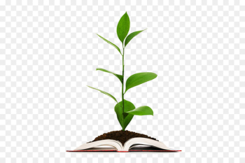 Agriculture Organic farming Agribusiness - business Agriculture Organic farming Agribusiness - business