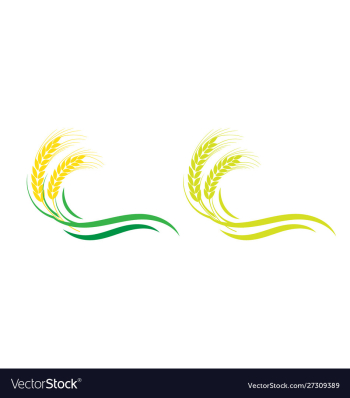 Agriculture wheat logo template icon design vector image Agriculture wheat logo template icon design vector image