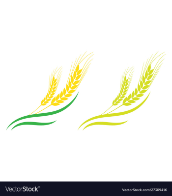 Agriculture wheat logo template icon design vector image Agriculture wheat logo template icon design vector image