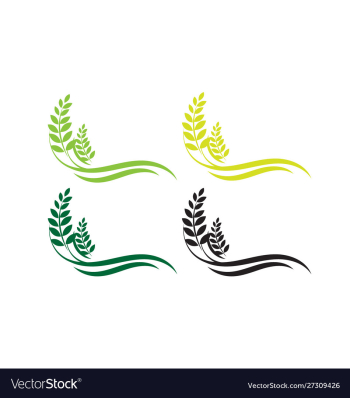 Agriculture wheat logo template icon design vector image Agriculture wheat logo template icon design vector image