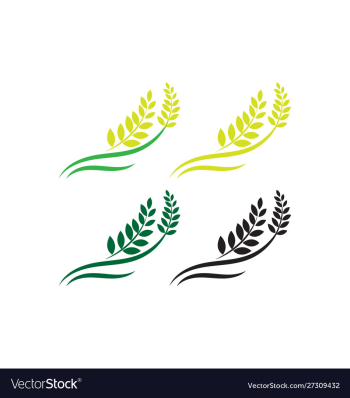 Agriculture wheat logo template icon design vector image Agriculture wheat logo template icon design vector image