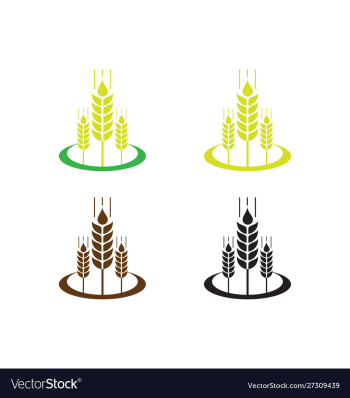 Agriculture wheat logo template icon design vector image Agriculture wheat logo template icon design vector image