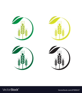 Agriculture wheat logo template icon design vector image Agriculture wheat logo template icon design vector image