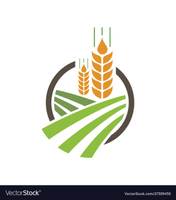 Agriculture wheat logo template icon design vector image Agriculture wheat logo template icon design vector image