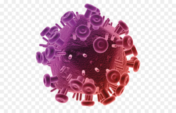 AIDS Virus HIV Transmission Viral hepatitis - infection transmission 