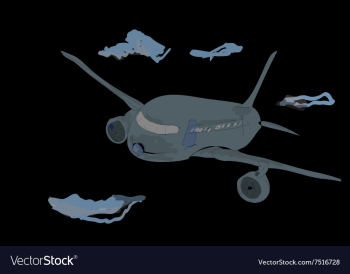 Airplane vector image Airplane vector image