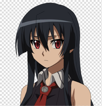 Akame ga Kill! Anime, Anime transparent background PNG clipart