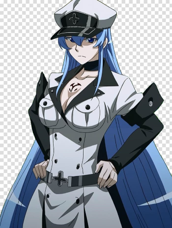 Akame ga Kill! Anime Manga Character Film comic, Anime transparent background PNG clipart