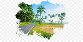 Alappuzha Desktop Wallpaper Nature Package tour - Kerala Tourism 