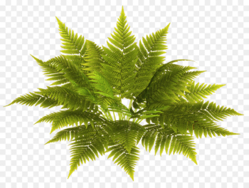 Alices Adventures in Wonderland Fairy tale - Fairy tale leaves 