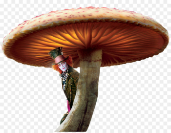Alices Adventures in Wonderland The Mad Hatter Red Queen Alice in Wonderland - Fairy tale mushroom 