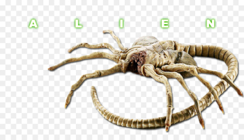 Alien YouTube Extraterrestrial life Face Hugger Predator - Alien ...