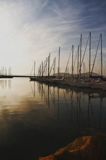 aligned sail boats near dock aligned sail boats near dock