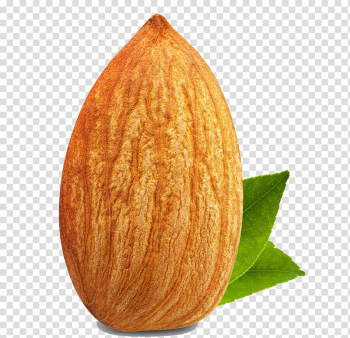 Almond Nut Dried fruit Food, Alligator shoes transparent background PNG clipart Almond Nut Dried fruit Food, Alligator shoes transparent background PNG clipart