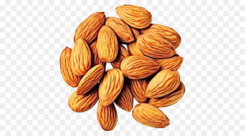almond nut food apricot kernel nuts & seeds almond nut food apricot kernel nuts & seeds