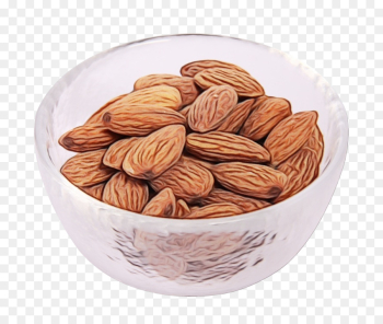 almond nut food nuts & seeds ingredient almond nut food nuts & seeds ingredient