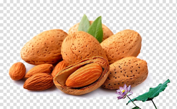 Almond Stuffing Nut Dried fruit, Batan Wood nuts transparent background PNG clipart Almond Stuffing Nut Dried fruit, Batan Wood nuts transparent background PNG clipart