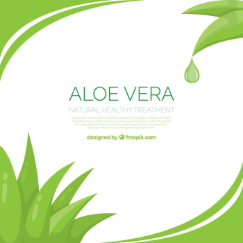 Aloe vera abstract background Aloe vera abstract background