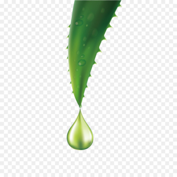 Aloe vera Essential oil - A drop of aloe vera essential oil vector material 