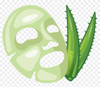 Aloe Vera Euclidean Vector Facial - Aloe Vera Euclidean Vector Facial Aloe Vera Euclidean Vector Facial - Aloe Vera Euclidean Vector Facial