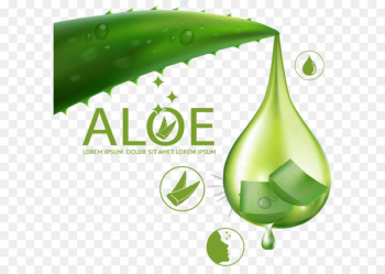 Aloe vera Euclidean vector Skin care - Aloe Vera Skin Care ad element 