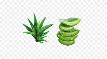Aloe vera Extract Gel Skin Moisture - Fresh green aloe vera Aloe vera Extract Gel Skin Moisture - Fresh green aloe vera