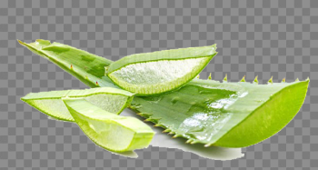 Aloe Vera Gel PNG Photo Aloe Vera Gel PNG Photo