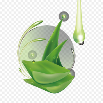 Aloe vera Leaf Gel - Aloe leaf and water droplets Aloe vera Leaf Gel - Aloe leaf and water droplets