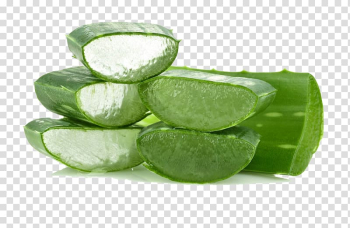 Aloe vera Lip balm Lip gloss Cosmetics, Aloe leaf transparent background PNG clipart Aloe vera Lip balm Lip gloss Cosmetics, Aloe leaf transparent background PNG clipart