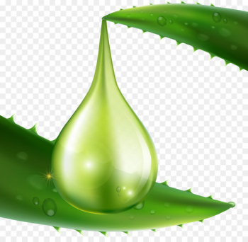 Aloe vera Skin care Collagen - Aloe Vera Oil Hand-painted deduction material 