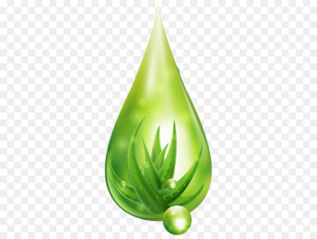 Aloe vera Skin care Drop Cream - Women cosmetics design vector material, 