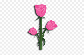 Alpha Gamma Rho Flower Pink Rose - Rose Alpha Gamma Rho Flower Pink Rose - Rose