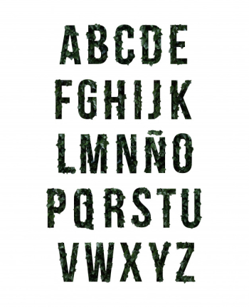 alphabet concept with dark botanic alphabet concept with dark botanic