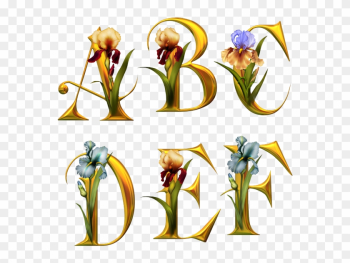 Alphabet Fleurs - Tube Alphabet Alphabet Fleurs - Tube Alphabet