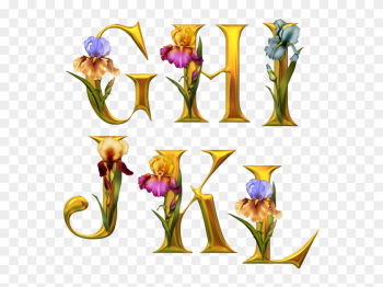 Alphabet Fleurs - Tube Alphabet Alphabet Fleurs - Tube Alphabet