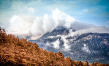 Alps @ Switzerland Alps @ Switzerland