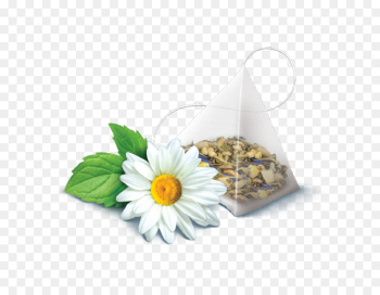Alternative Health Services, Medicine, Camomile, Chamomile PNG