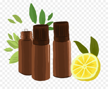 Alternative Health Services, Medicine, Plant, Leaf PNG Alternative Health Services, Medicine, Plant, Leaf PNG