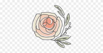 Alyssa Joy & Co - Garden Roses Alyssa Joy & Co - Garden Roses