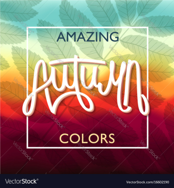 Amazing autumn colors vector image Amazing autumn colors vector image