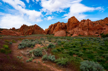 Amazing place to hike in Utah.  The day was beautiful with perfect skies. Thankfully the camera did its job, a simple point and click moment. 