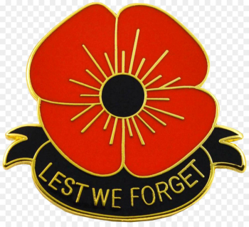 Amazon.com Remembrance poppy Brooch Lapel pin - poppy Amazon.com Remembrance poppy Brooch Lapel pin - poppy