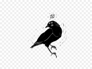 American crow Drawing Illustration Ink Vector graphics - abatement streamer 
