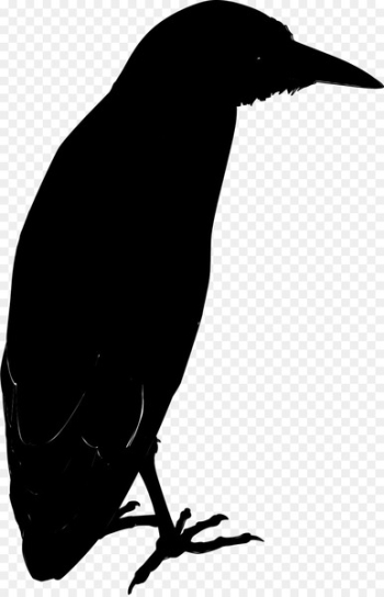 American crow New Caledonian crow Common raven - American crow New Caledonian crow Common raven -